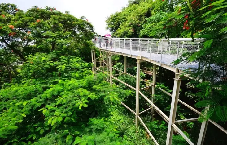 東京景點推薦 東京景點推薦