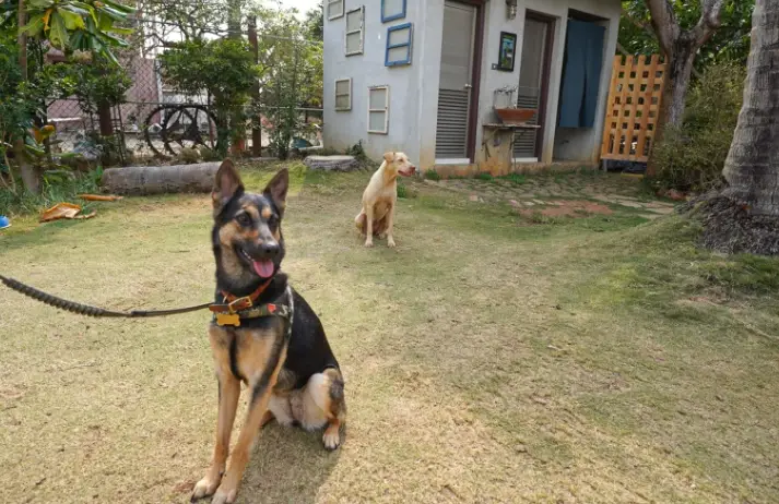 墾丁親子寵物景點