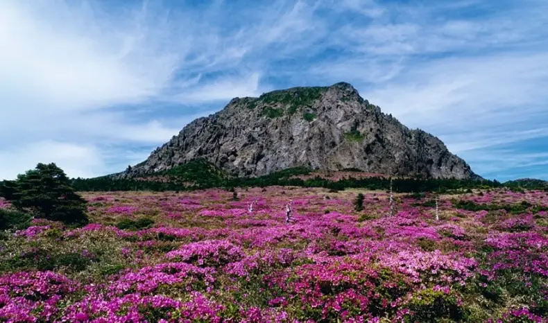 濟州島自由行攻略