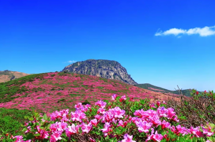 濟州島漢拿山行程