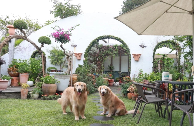 寵物友善民宿彰化