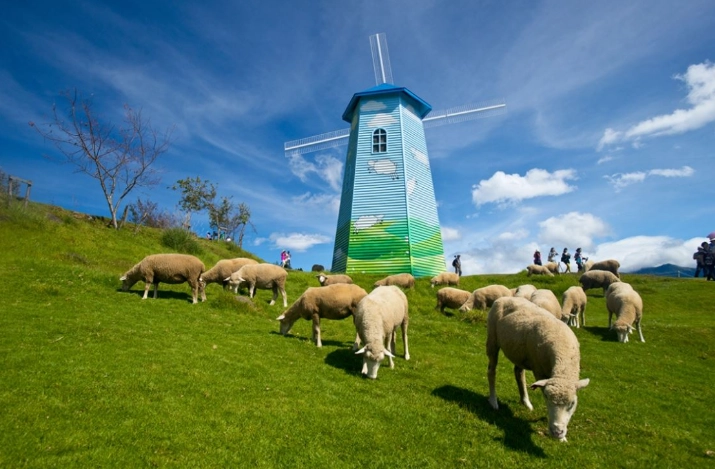 清境農場旅遊攻略 清境農場旅遊攻略