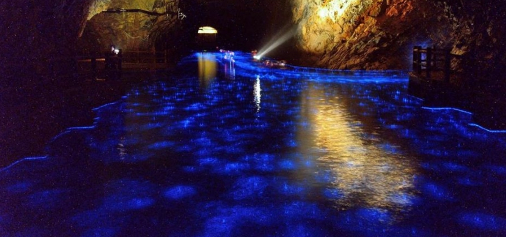 馬祖藍眼淚自由行全攻略：行程規劃、觀賞地點與拍攝秘訣