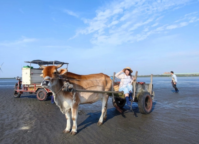 王功潮間帶 王功潮間帶