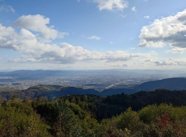楊梅山