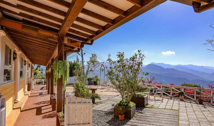 阿里山寵物友善住宿