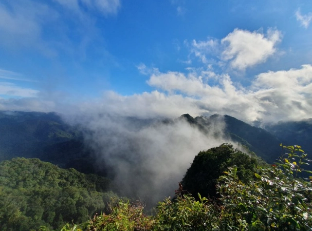象山步道第二段 象山步道第二段