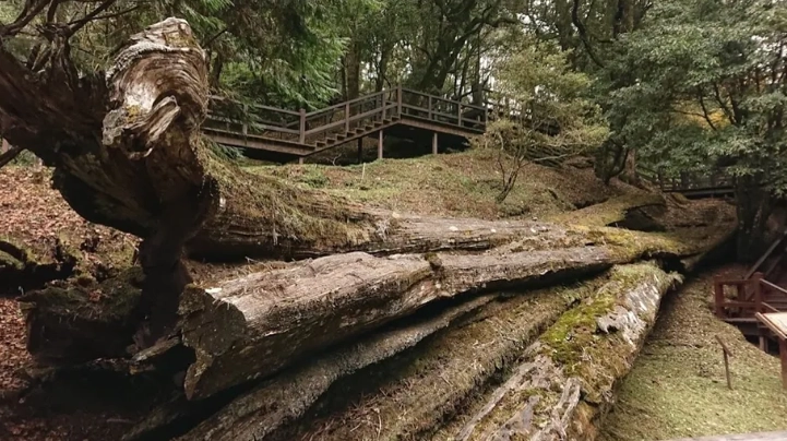 坐火車可以到的景點南部