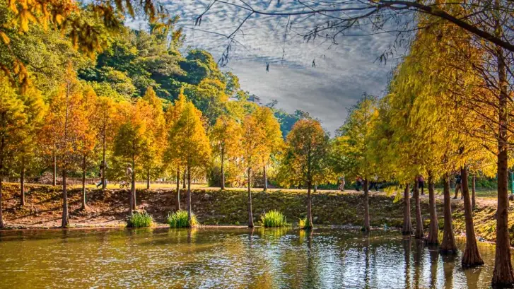 桃園一日遊 桃園一日遊