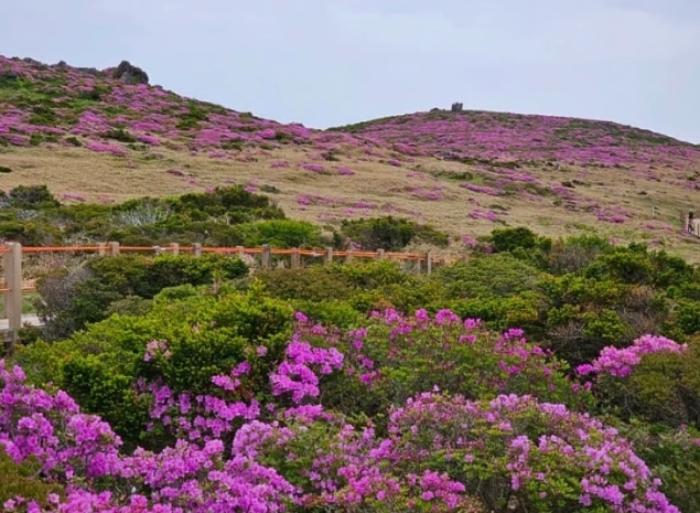 濟州島自由行攻略