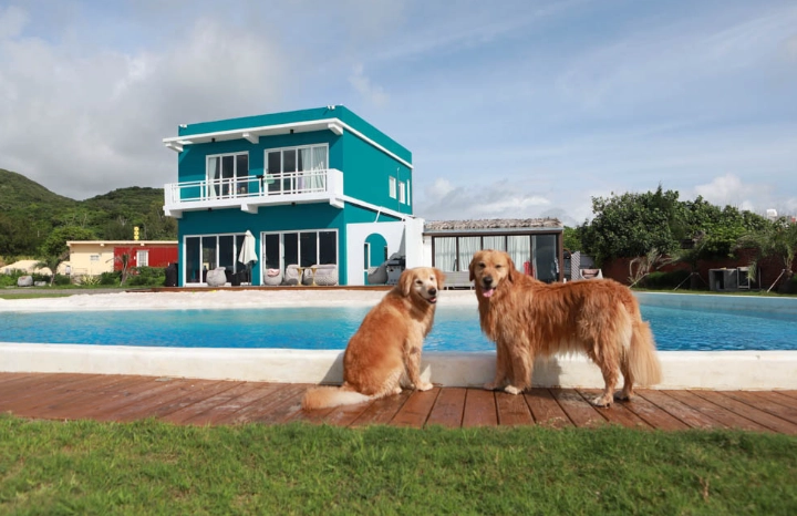 墾丁帶狗旅遊 墾丁帶狗旅遊