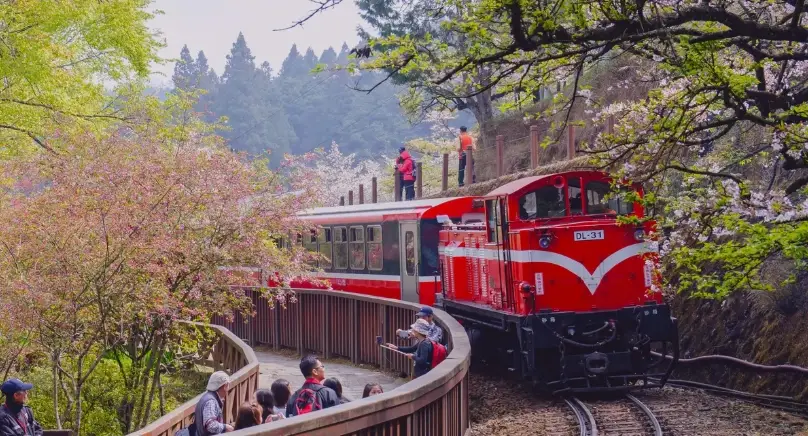 寵物友善阿里山行程