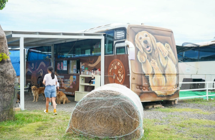 墾丁帶狗旅遊 墾丁帶狗旅遊
