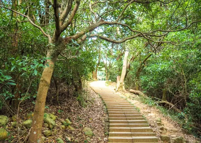 桃園登山步道