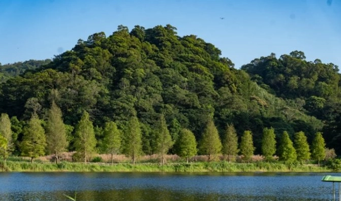 大湖景點 大湖景點