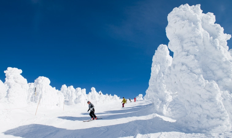 藏王滑雪場巴士 藏王滑雪場巴士