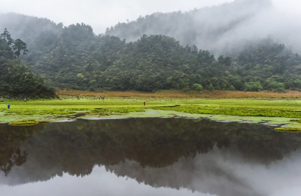 台灣露營區推薦