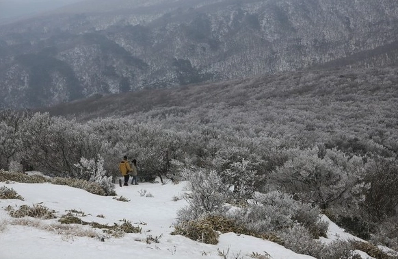 漢拿山御乘生岳 漢拿山御乘生岳