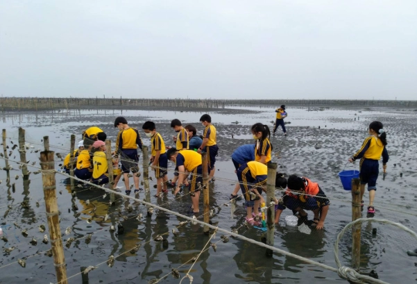 王功潮間帶生態之旅