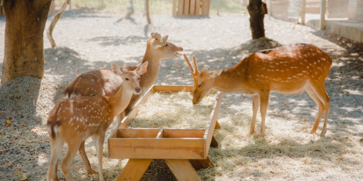屏東海生館門票