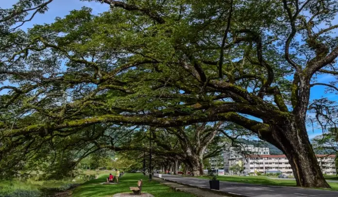 馬來西亞太平一日遊攻略：行程規劃、景點美食與交通全解析