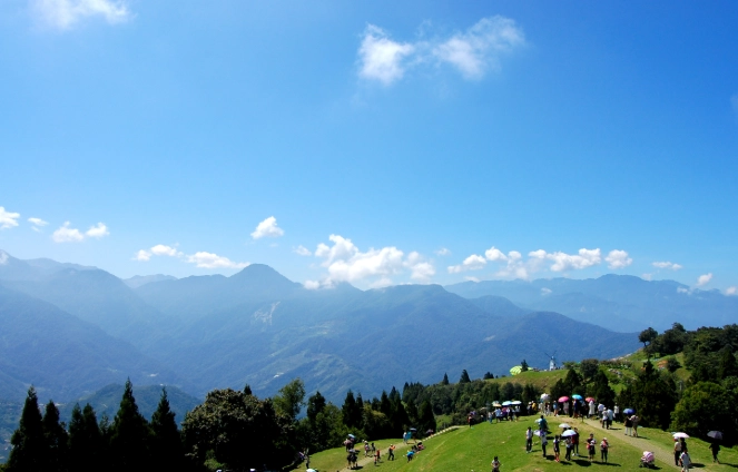 清境農場交通管制全攻略：避開塞車、順暢遊玩必看指南