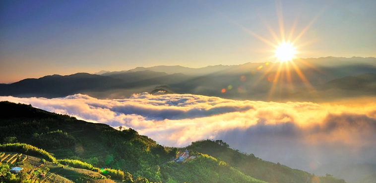 阿里山三天兩夜攻略：森林鐵路、日出雲海與神木秘境之旅