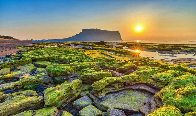 濟州島旅遊幾天 濟州島旅遊幾天