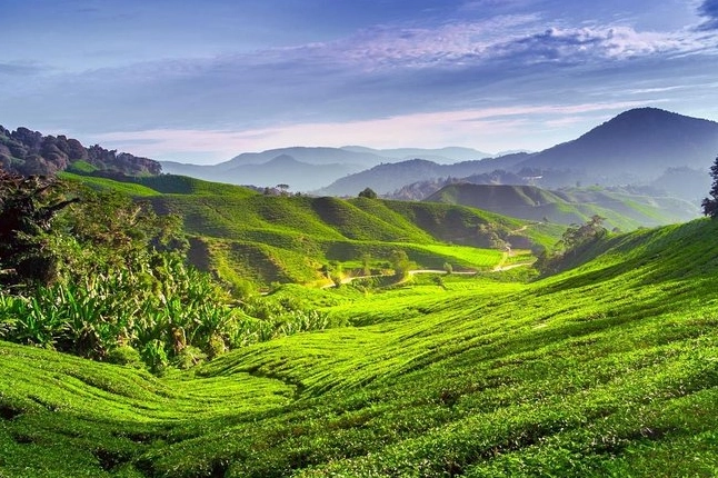 霹靂州必去景點