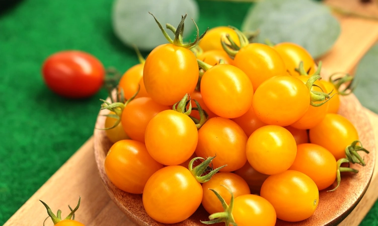 台北義式餐廳推薦：從經典到創新，老饕私藏的10家必訪清單