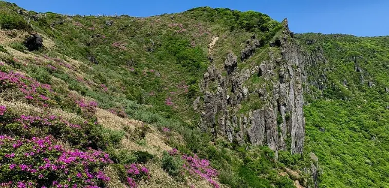 濟州島登山 濟州島登山