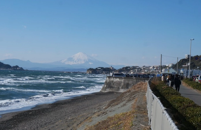 鎌倉 冬天 美食