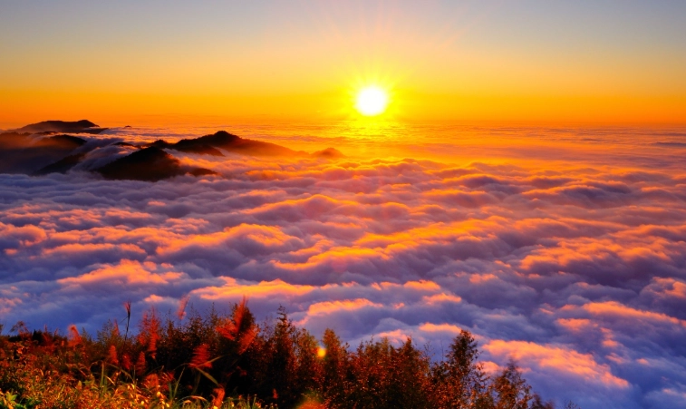 阿里山旅遊攻略