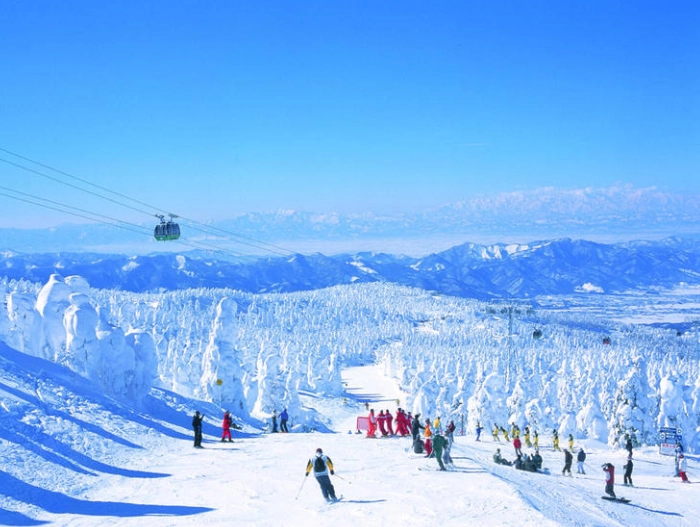 藏王滑雪場巴士 藏王滑雪場巴士