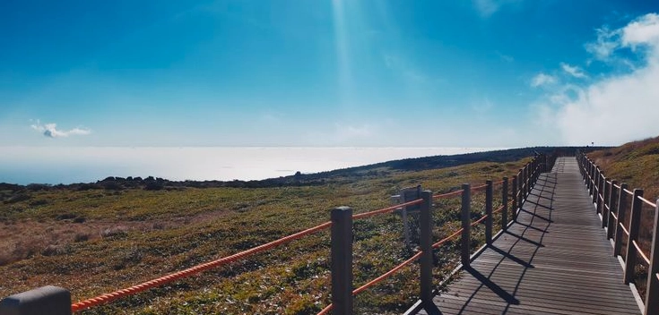 漢拏山登山路線