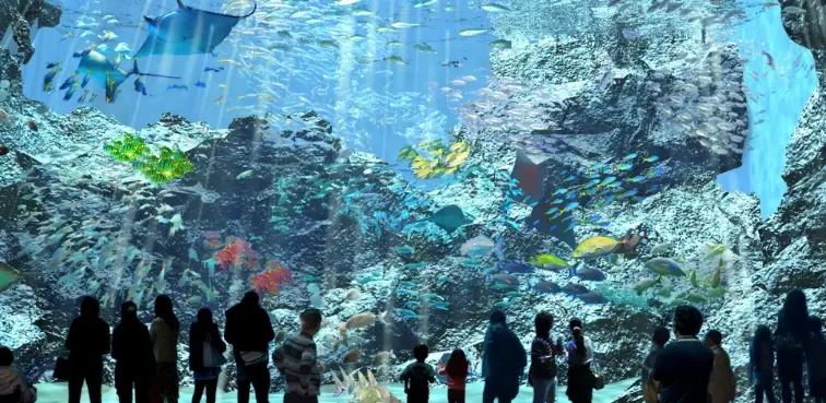 桃園室內親子景點