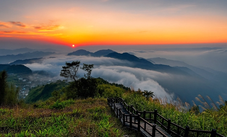 阿里山開車路線