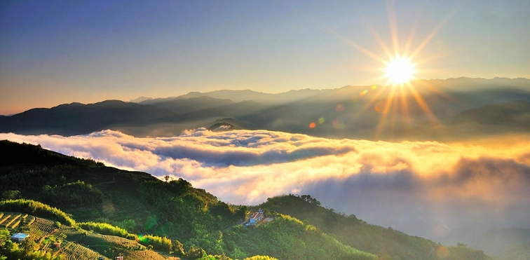 阿里山開車怎麼玩