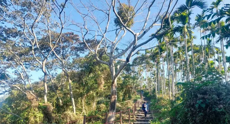 竹崎親水公園 竹崎親水公園