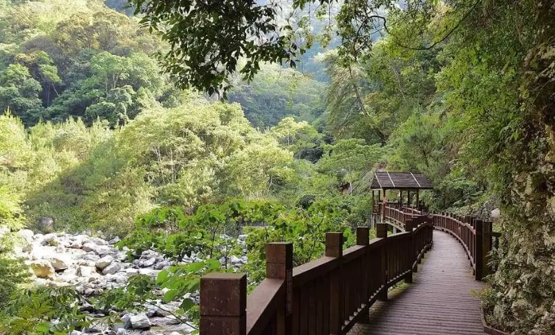 谷關一日遊 谷關一日遊