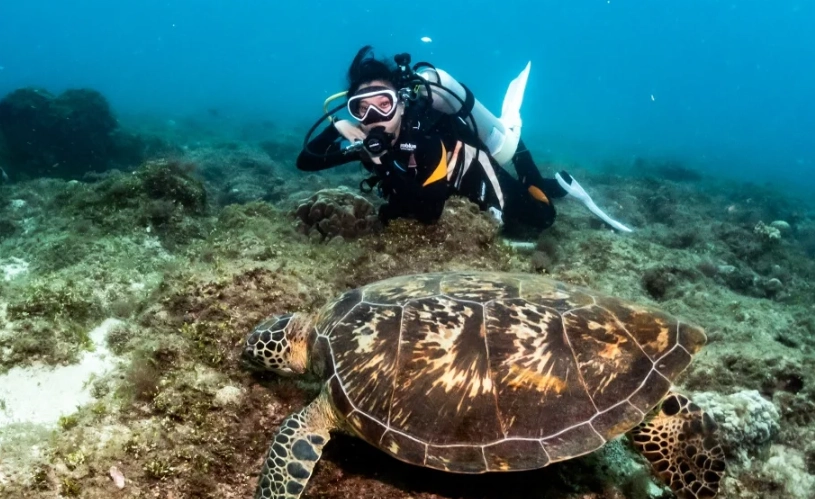 小琉球天氣月份 小琉球天氣月份