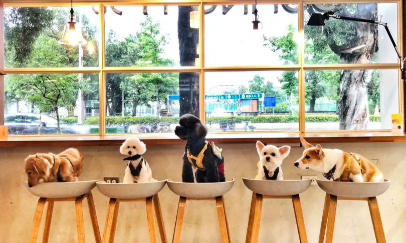 寵物友善餐廳推薦