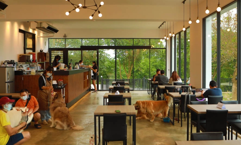 寵物友善餐廳推薦