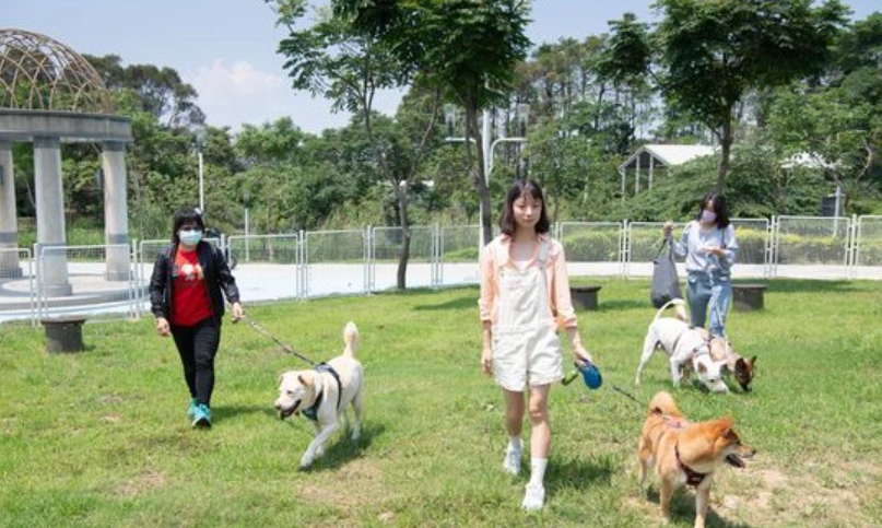 寵物友善農場 嘉義 寵物友善農場 嘉義