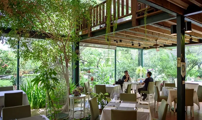 新社親子景點 新社親子景點