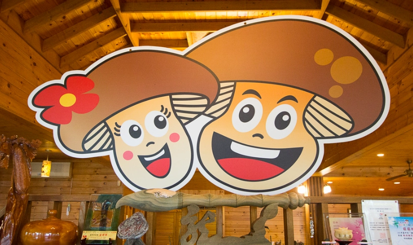 新社雨天備案 新社雨天備案