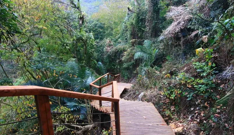 竹崎親水公園 竹崎親水公園