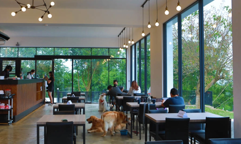 鹿港寵物友善餐廳