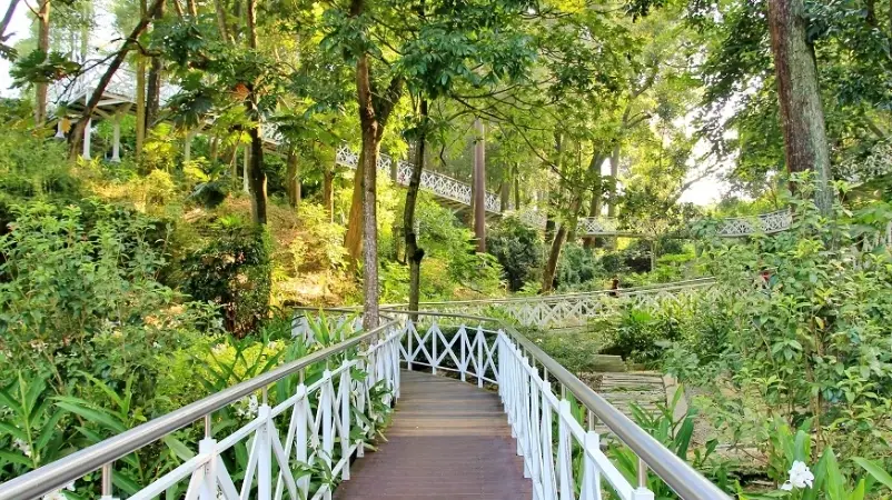 竹崎親水公園 竹崎親水公園