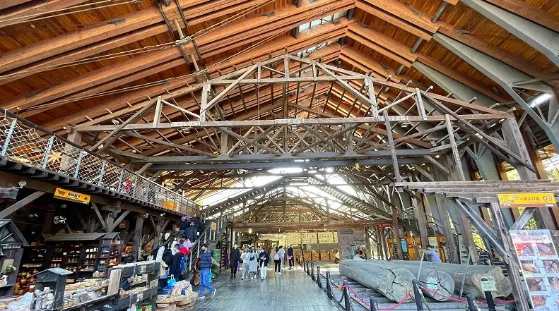 南投旅遊 南投旅遊